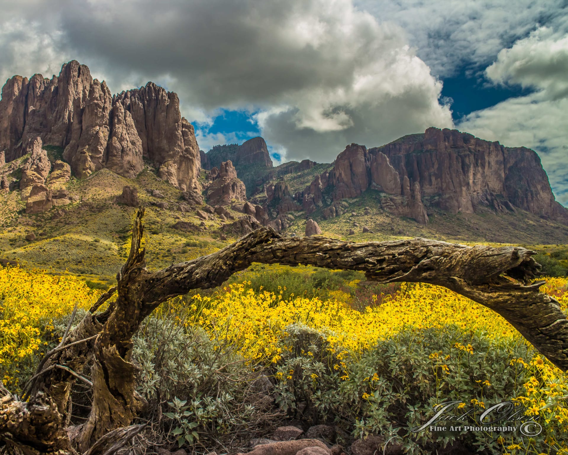Lost Dutchman Realty