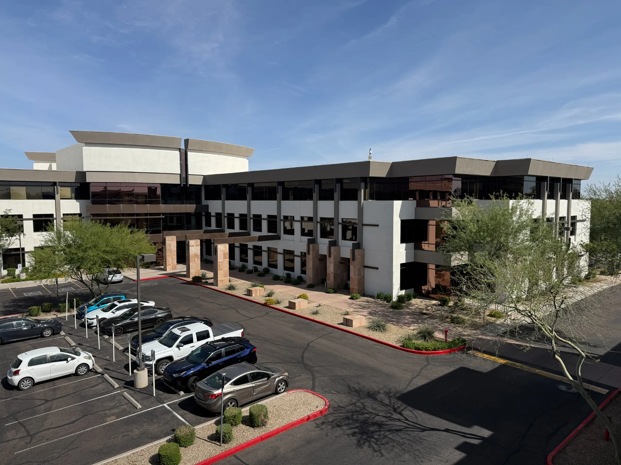 Palo Verde Painting