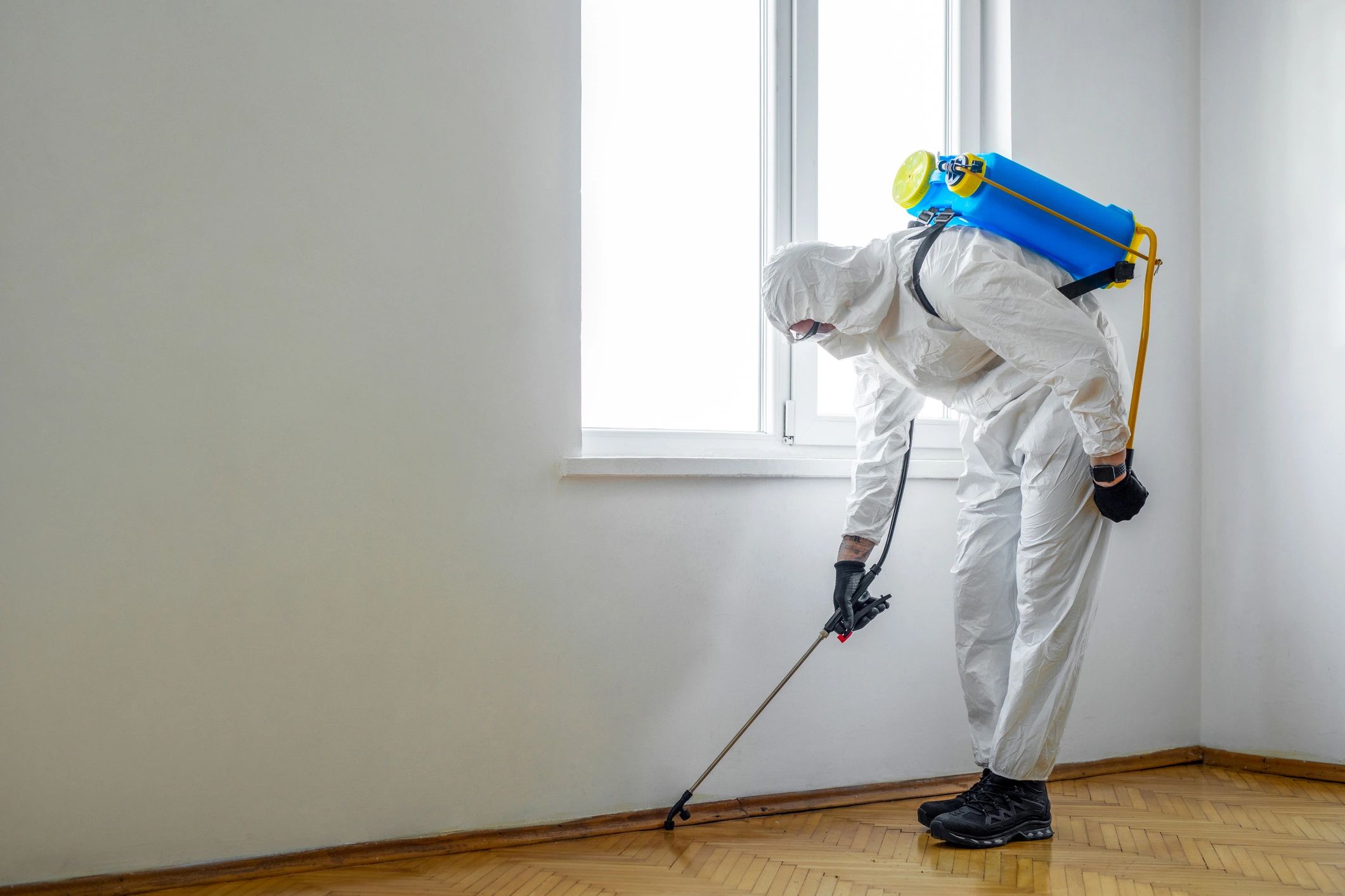 Intown Pest Control