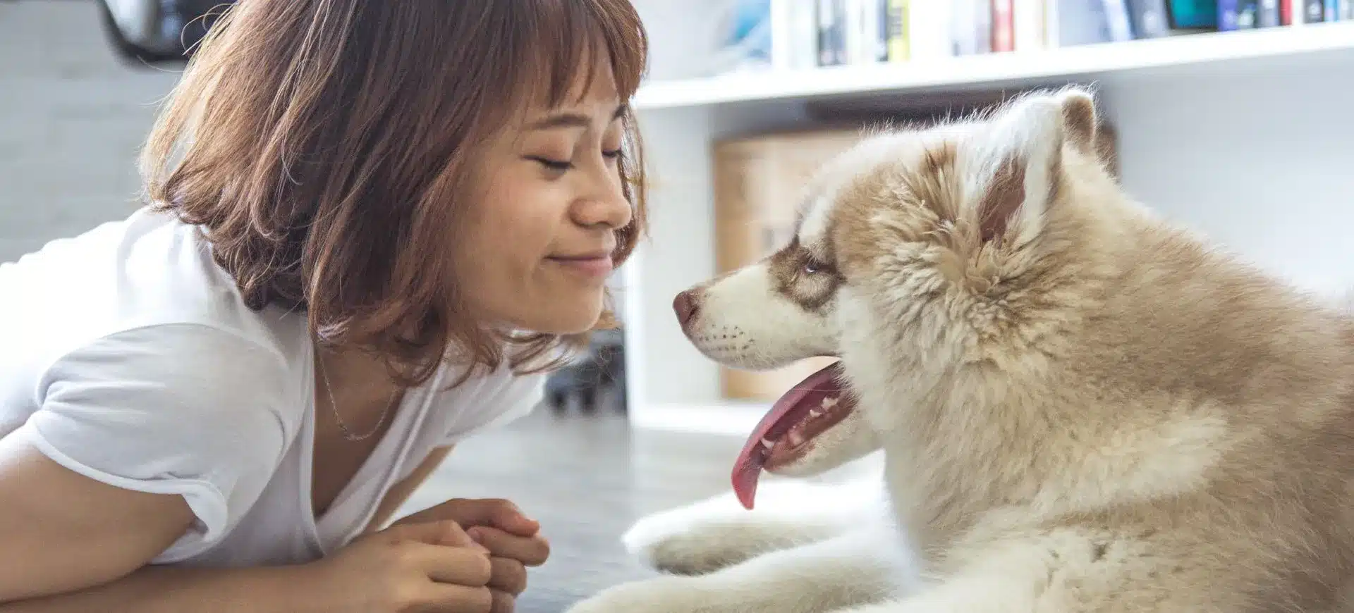 Barker Animal Hospital