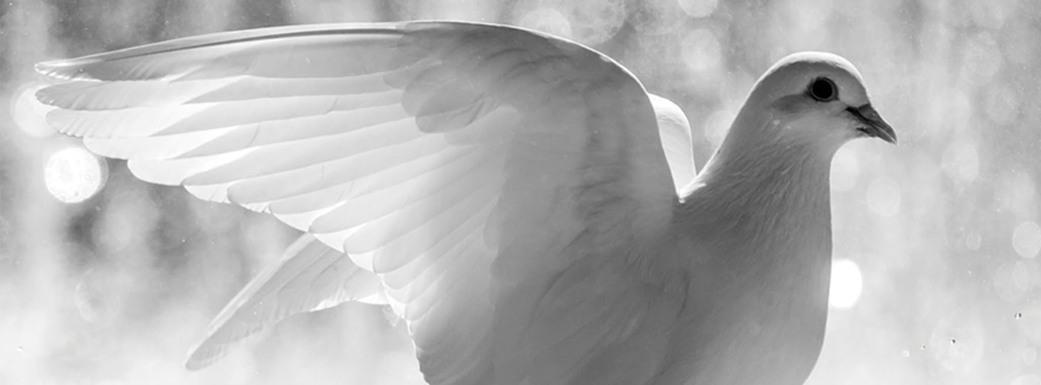Harmon Funeral Home