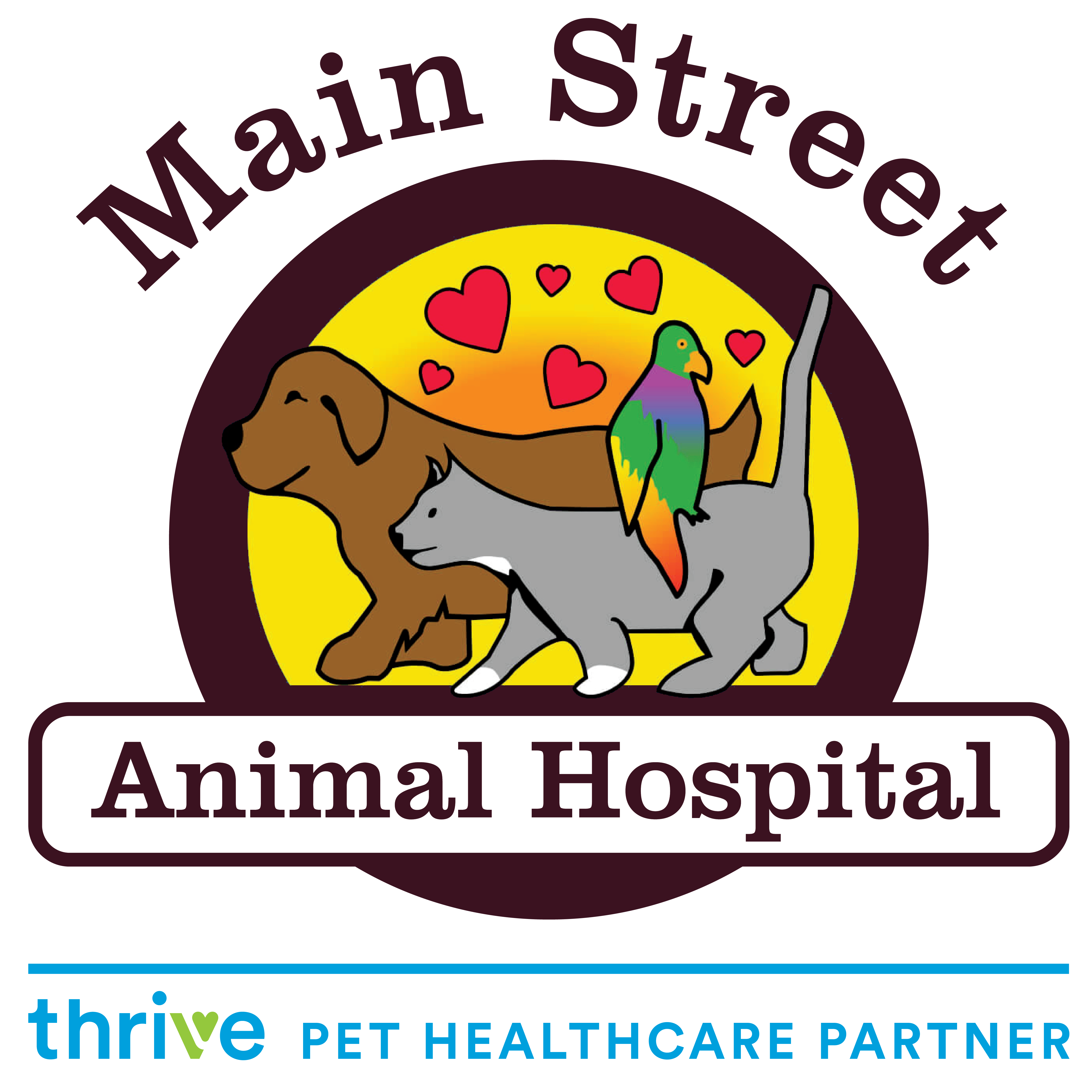 Main Street Animal Hospital