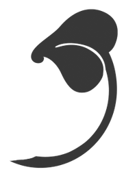 Blue Leaf Home logo