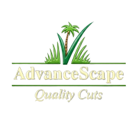 AdvanceScape logo
